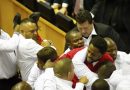 Fist Fight in Parliament