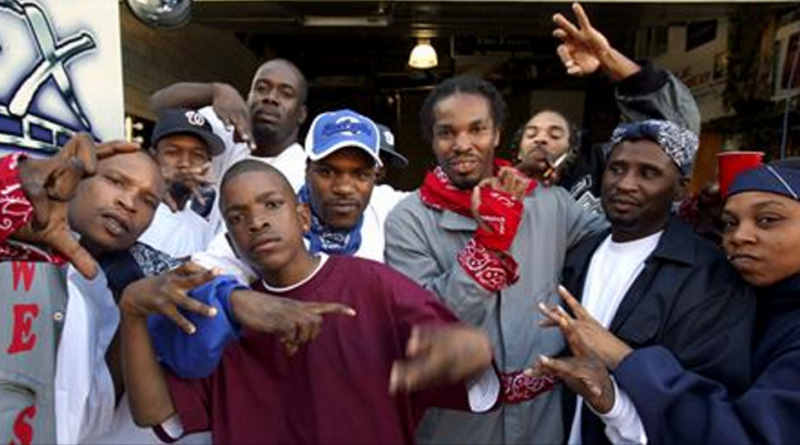 history of chicago gangs