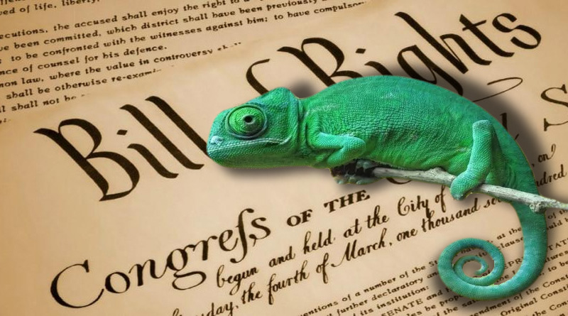 Chamelon Bill of Rights