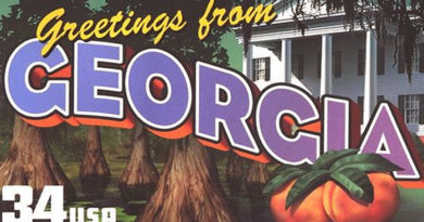 WORST Idea of the Year Georgia Stamp
