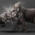 Rino vs Elephant