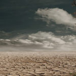 Very Barren Ground Barren