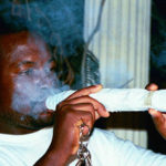 Blunt