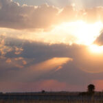 Messing with Nature Messing with Nature